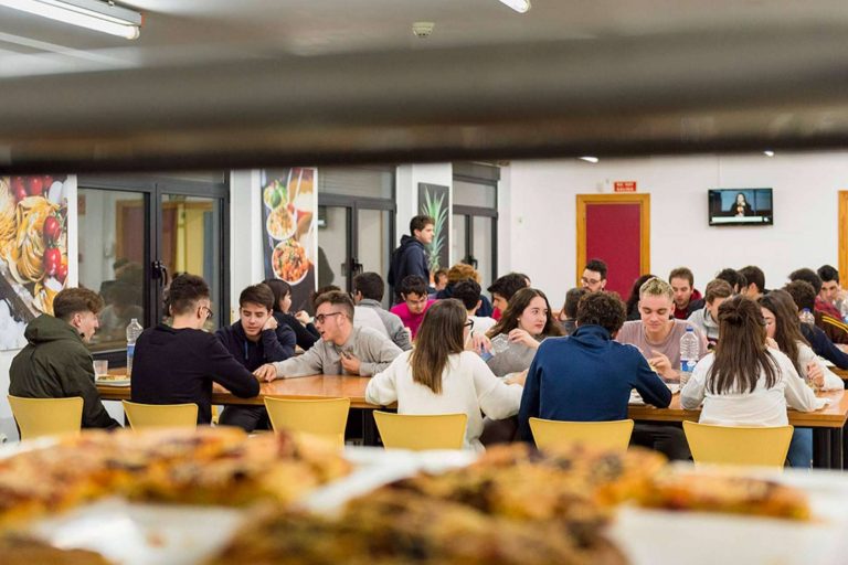 Las principales características que debe tener una residencia para estudiantes, según Colegio Mayor Ovidi Montllor