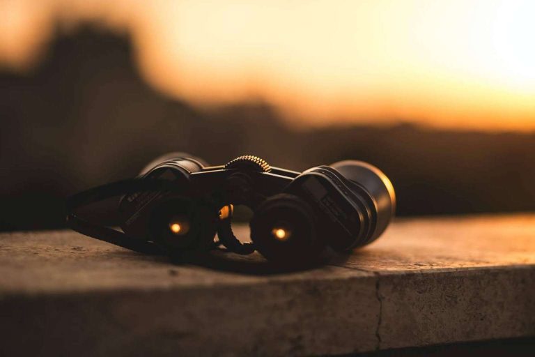 ¿En qué consiste la unidad especial de intervención de APIC international security?