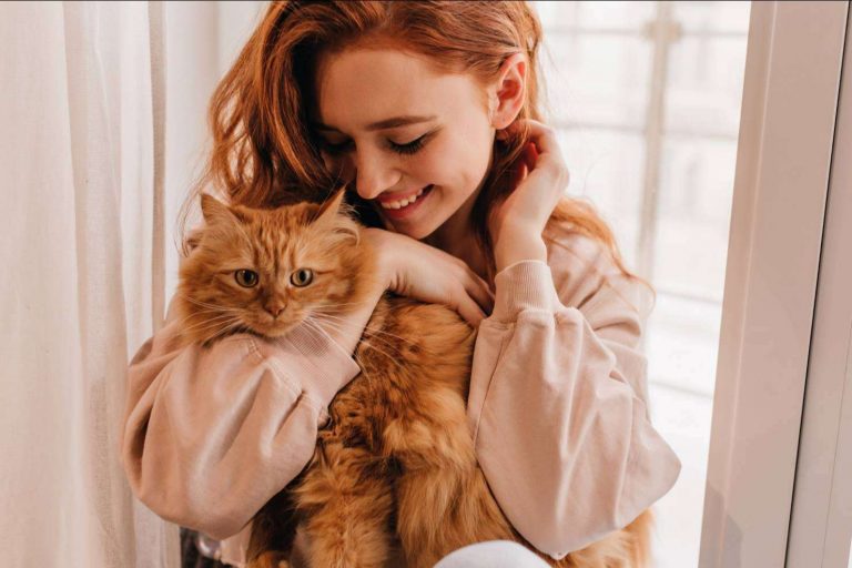 Pets4Good, la nueva tienda de mascotas online solidaria