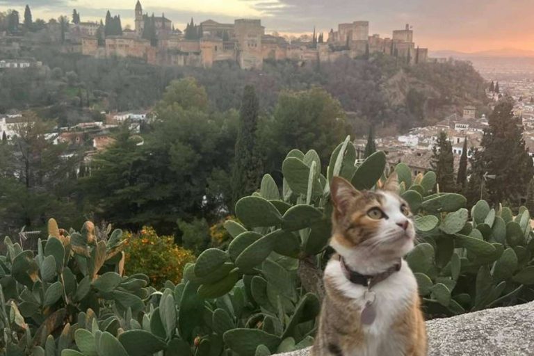 Los lugares que se deben visitar cuando se hace turismo en Granada