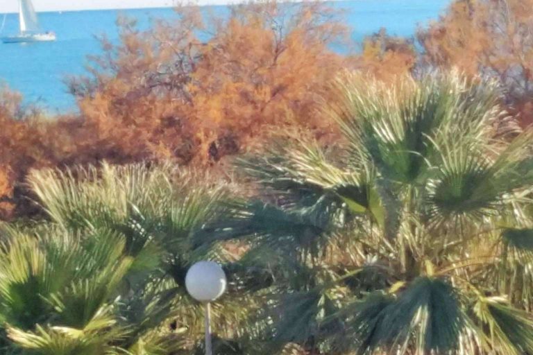 Adosado en playa de Oliva (Valencia), Residencial Olival