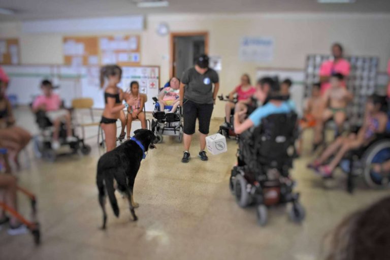 La Asociación Española de Perros de Apoyo recomienda la terapia asistida con perros