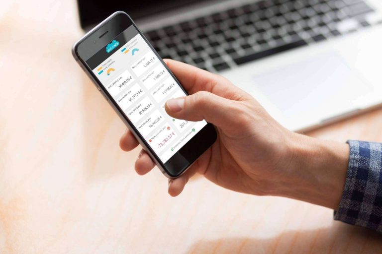 ecoSoftWEB, el software para empresas de ecoSoft Consulting