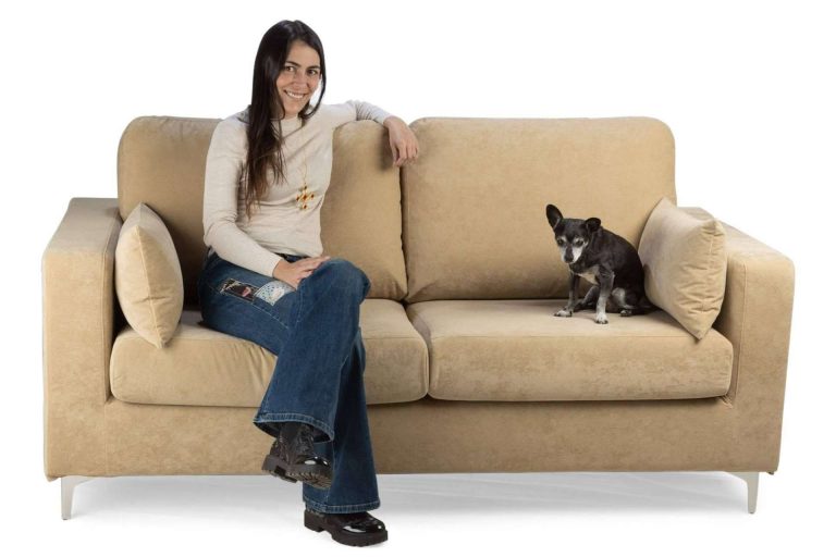 Convivencia con mascotas, higiene y mantenimiento del mobiliario del hogar