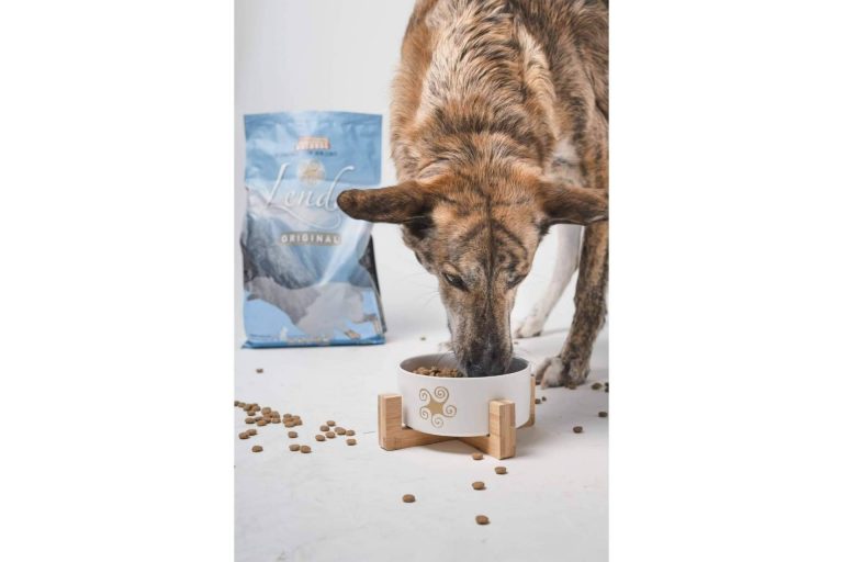 Lenda Light, la alimentación para perros con sobrepeso