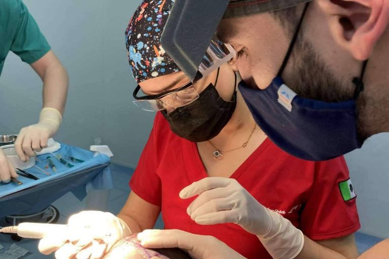 Destacado profesorado en cirugía capilar en el Máster FEMEL