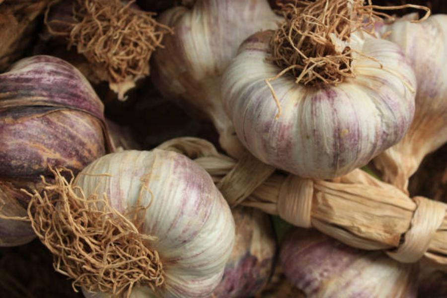 Propiedades de la salsa provenzal: ajo