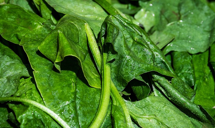 666 endemoniado y otras mentiras que todo el mundo todavía cree