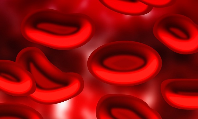 666 endemoniado y otras mentiras que todo el mundo todavía cree