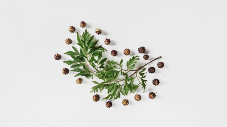 El superalimento que mejora la piel y fortalece tus huesos