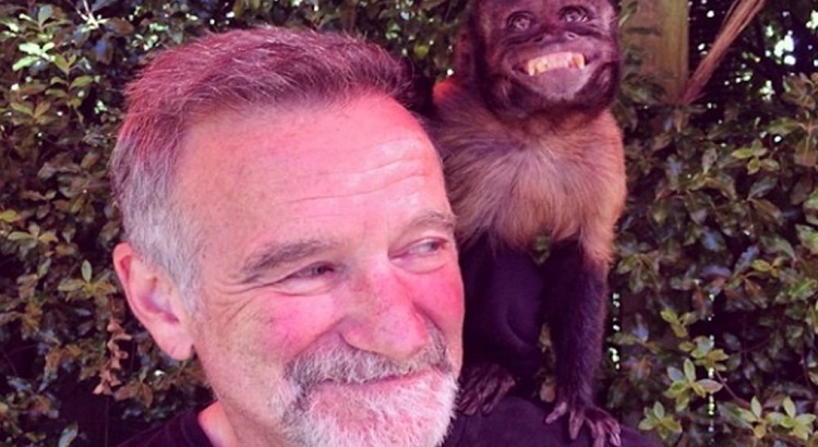 Las fotos de celebrities antes de morir