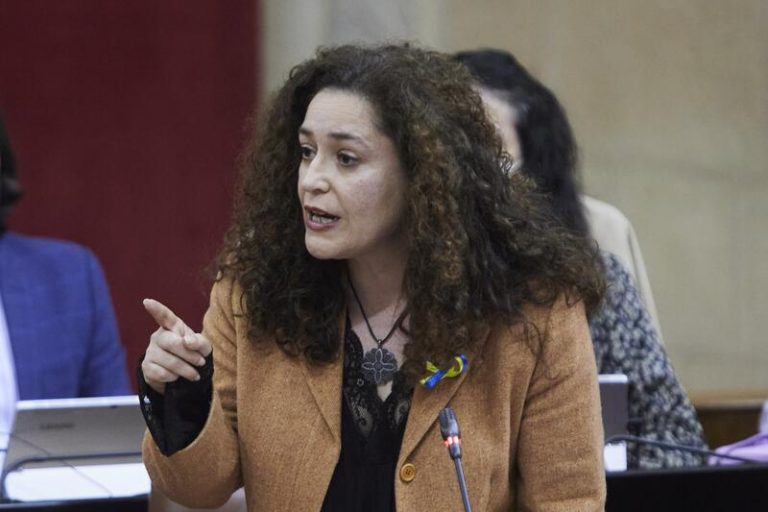 Nieto no contempla que Podemos quede fuera de 'Por Andalucía'