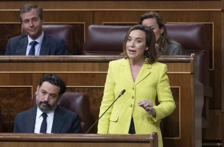 El Congreso debate la propuesta del PP para reactivar el gasoducto Midcat con Francia