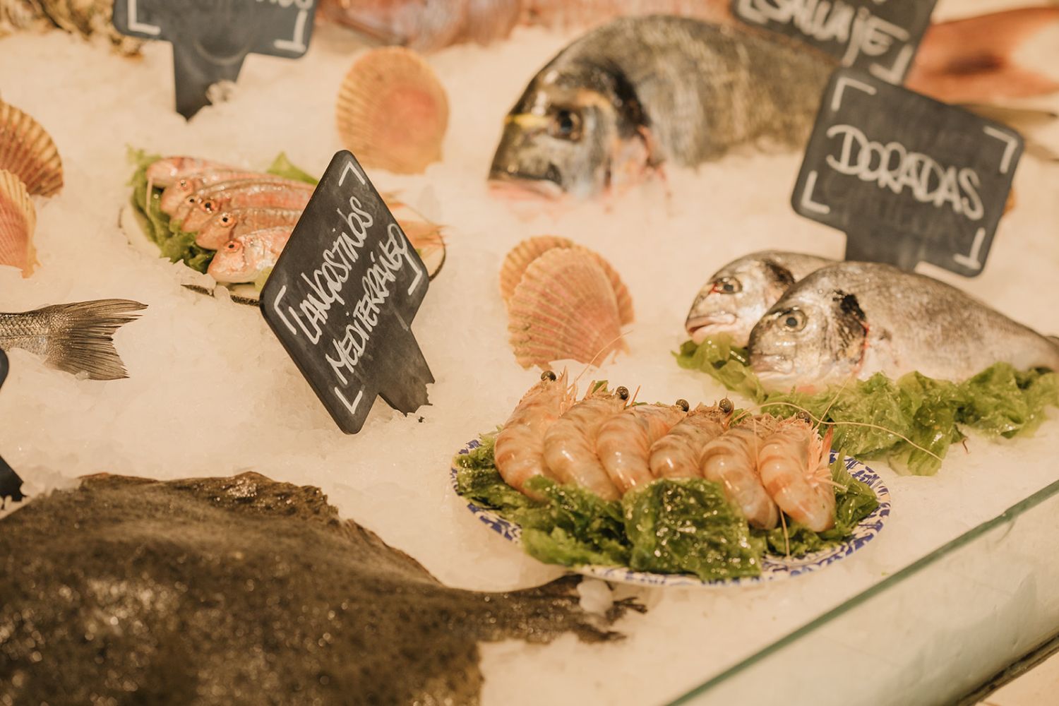 Belbo Candela, tapas a ritmo de rumba 3 6F0A1355