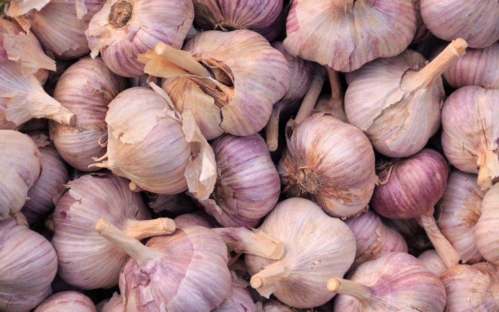 Beneficios de consumir ajo crudo
