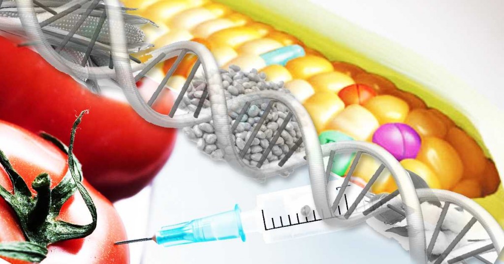 Alimentos que pueden causar cáncer