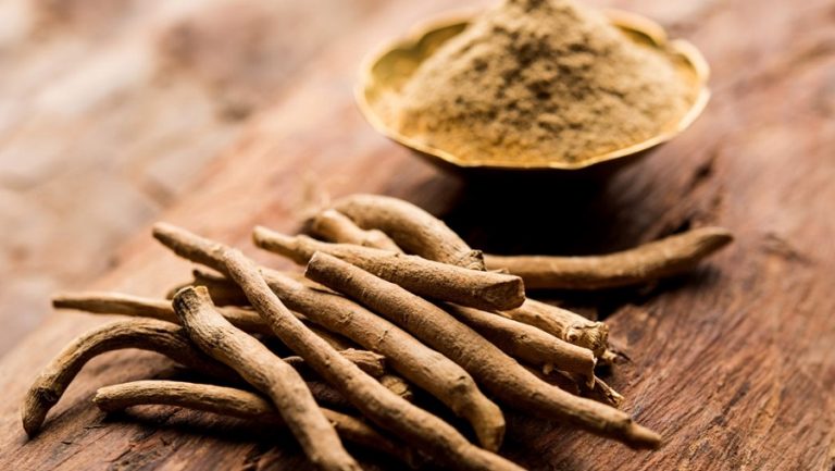 ¿Qué es y para qué sirve la Ashwagandha? El equipo de Valentia Biologics nos lo explica