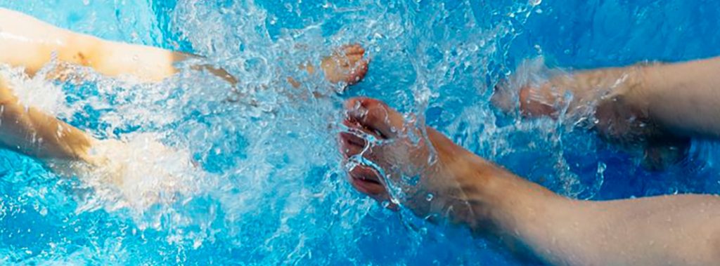 ¿Qué son los hongos?