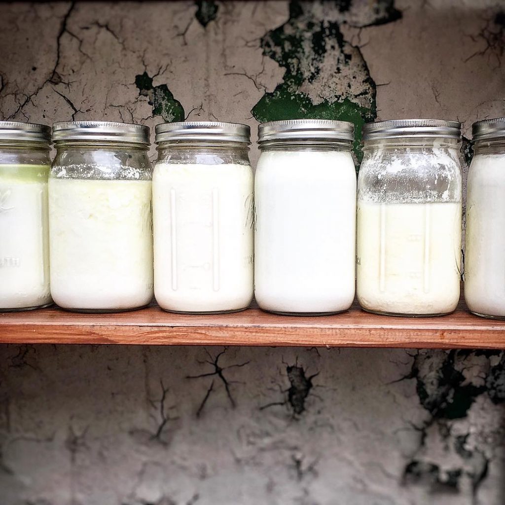 ¿Cuáles son las propiedades de la leche de kéfir?