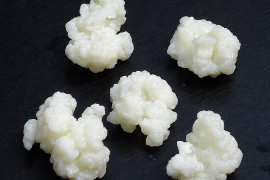 ¿Qué son los gránulos de kéfir?