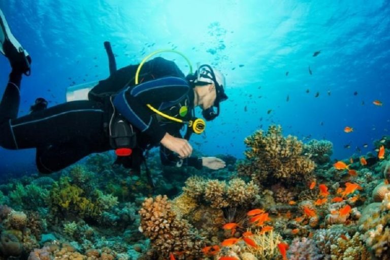 ¡Buceando en Lanzarote con los expertos de Titan Blue!