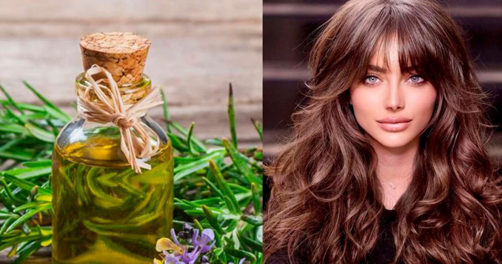 Cocimiento de hojas de nogal