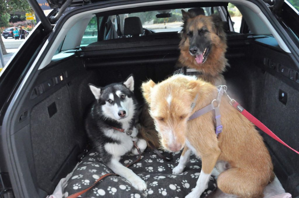 ¿Existe otra posibilidad?