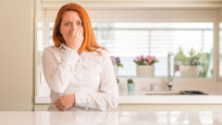 La planta de interior que acaba con los malos olores