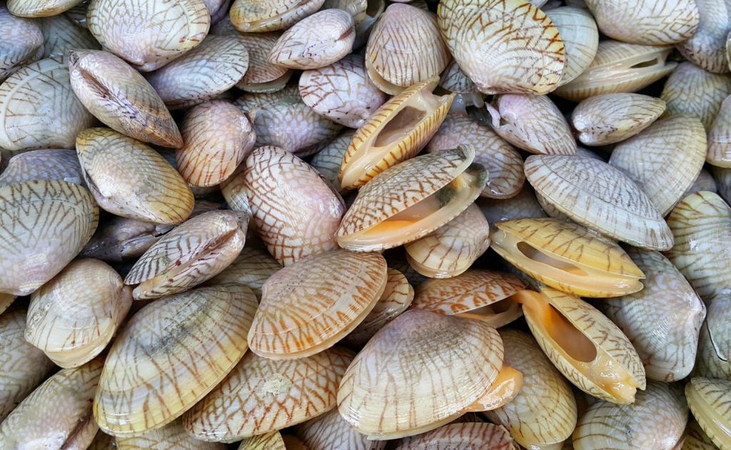 ¿Cuál es el truco para eliminar la arena de las almejas?