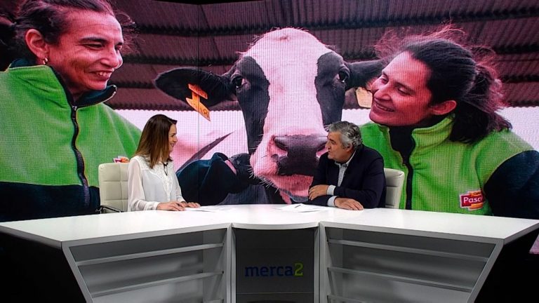 Joaquín Lorenzo (Pascual): «Hay que garantizar la continuidad de las explotaciones ganaderas»