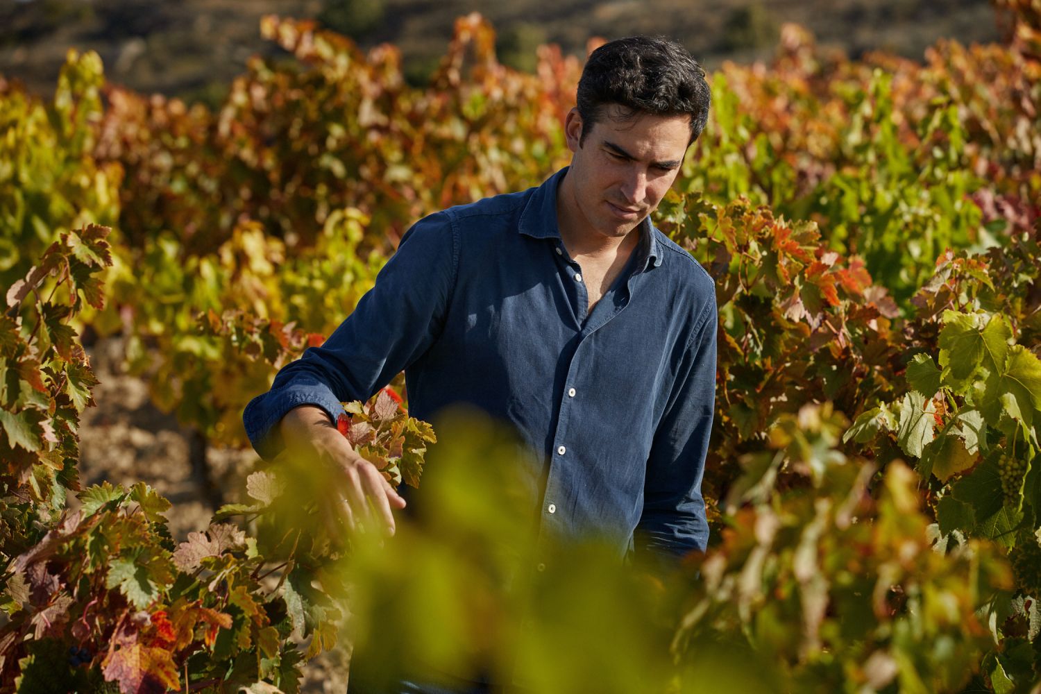 Ukan Winery, artesanía y dinamismo en el proyecto de Koldo Eguren en Rioja Alavesa 2 Vino de calidad