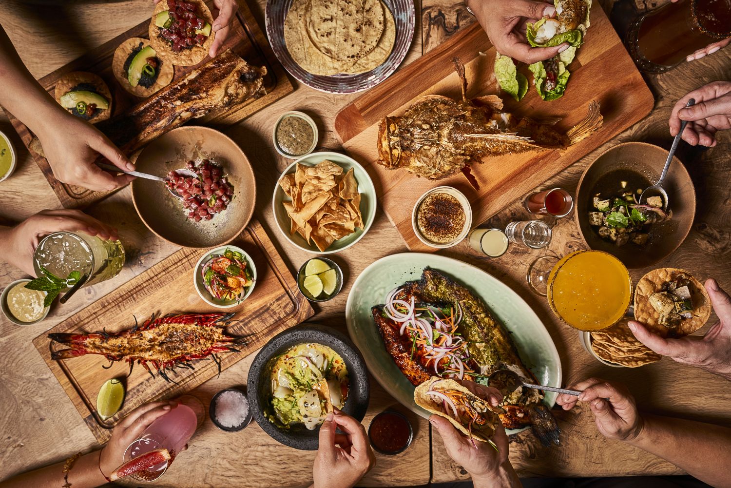 Mantarraya MX. Bodegon