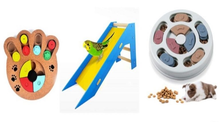 Por solo 16'99€ en Amazon: el juguete olfativo que hará a tu perro más inteligente