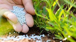 ¿Cuál es la historia del nitrato potásico?