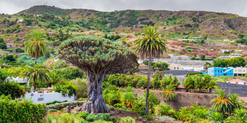 ¿Dónde hay más endemismos?