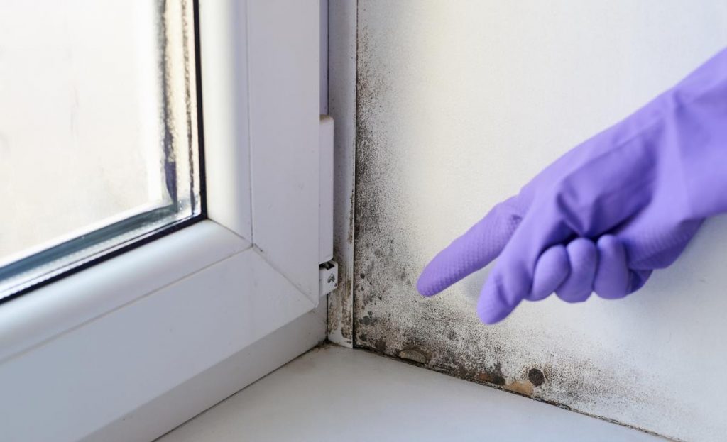 Poner rejillas en la puerta