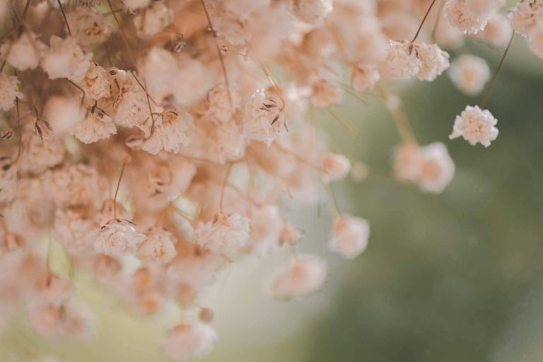 El psicoanálisis integrativo y el trauma global pospandémico, por Juan Martínez Mena