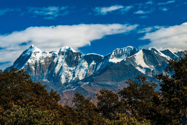 La Tienda de Cristóbal, sobre el Hongo Cordyceps