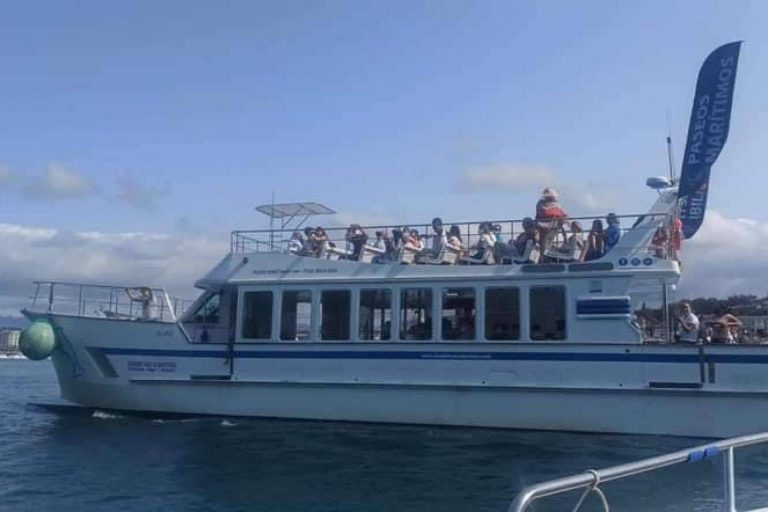 Reservas privadas en barco con la flota de catamaranes de Ciudad San Sebastián