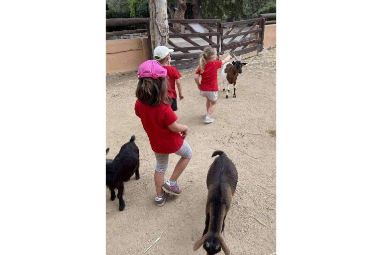 Pàlcam pone en marcha su próxima edición del casal de verano