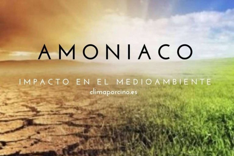 Clima Porcino comercializa con éxito un aditivo que reduce las emisiones de amoniaco desarrolladas en el purín de las fosas de las granjas