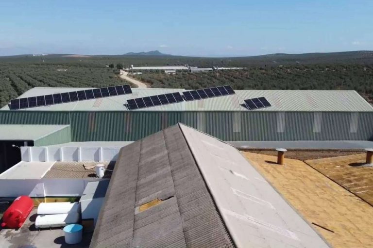 Los beneficios de contar con energía de autoconsumo en empresas, por TodoAgrícola