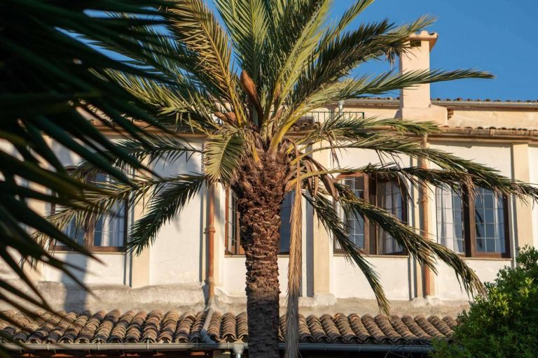 Una forma de sacar el máximo partido a las villas y apartamentos, de la mano de ISholidays.com