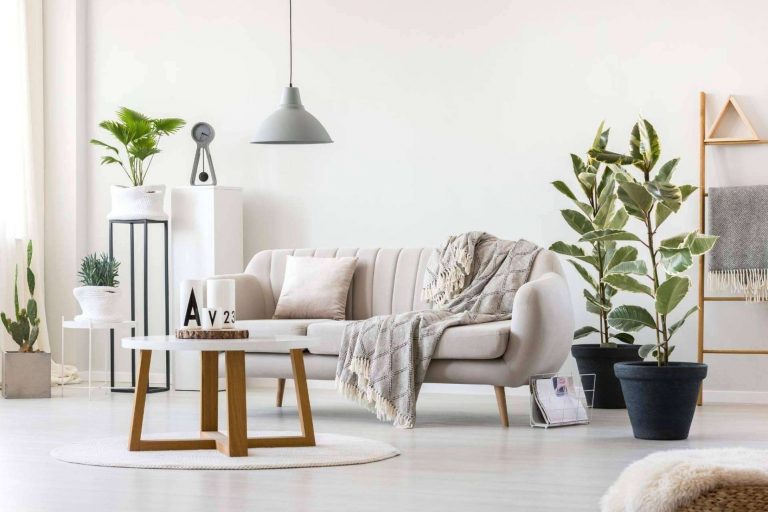 Todo lo necesario para decorar la casa con los productos en tendencia de Iglú Tiendas
