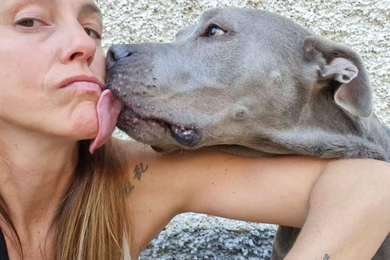 PERROBUENO acerca de los beneficios de llevar a los perros a una guardería de día