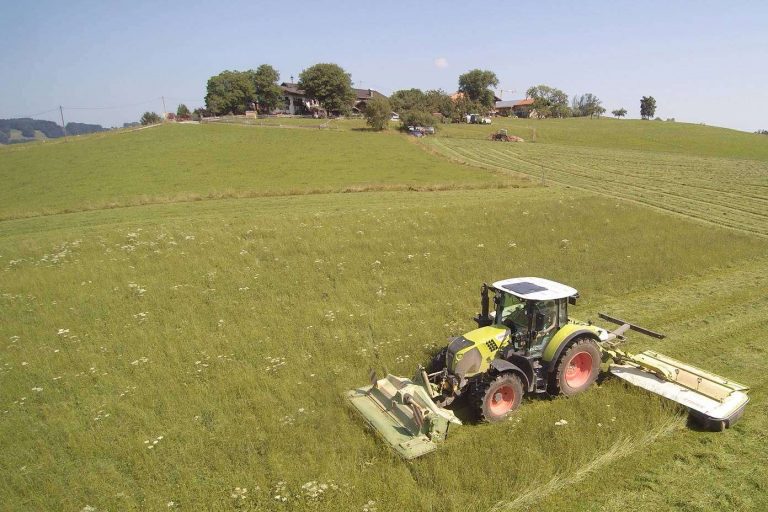 Love Pets y su catálogo de marcas de calidad para heno de conejo