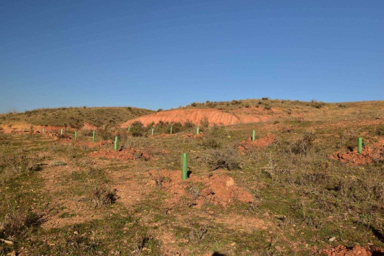 La innovadora campaña de Fundación Alcoraz y la empresa ICT para cuidar del medioambiente