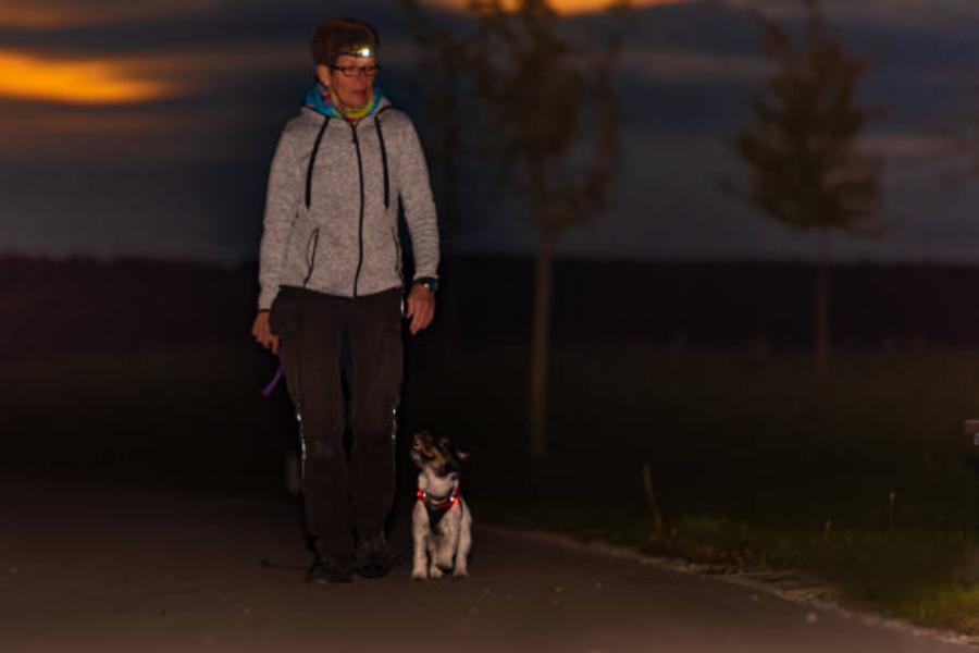 El paseo después de la cena para bajar de peso ¿Mito o realidad? 187 on el paseo después de cenar dormirás mejor