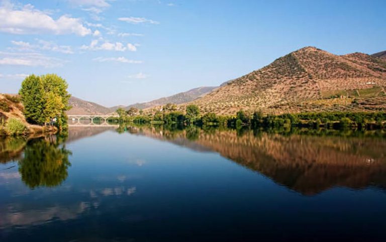 Estas son las bodegas de autor que deberías visitar si eres un amante del vino