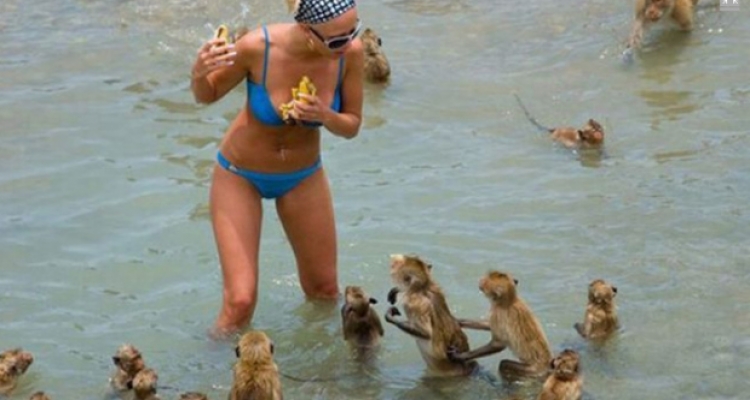 Imágenes de las que te reirás durante todo el día